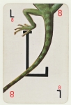 loungeoflizards.jpg